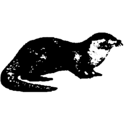 Otter-Maten